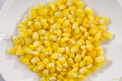 Sweet Corn Kernel